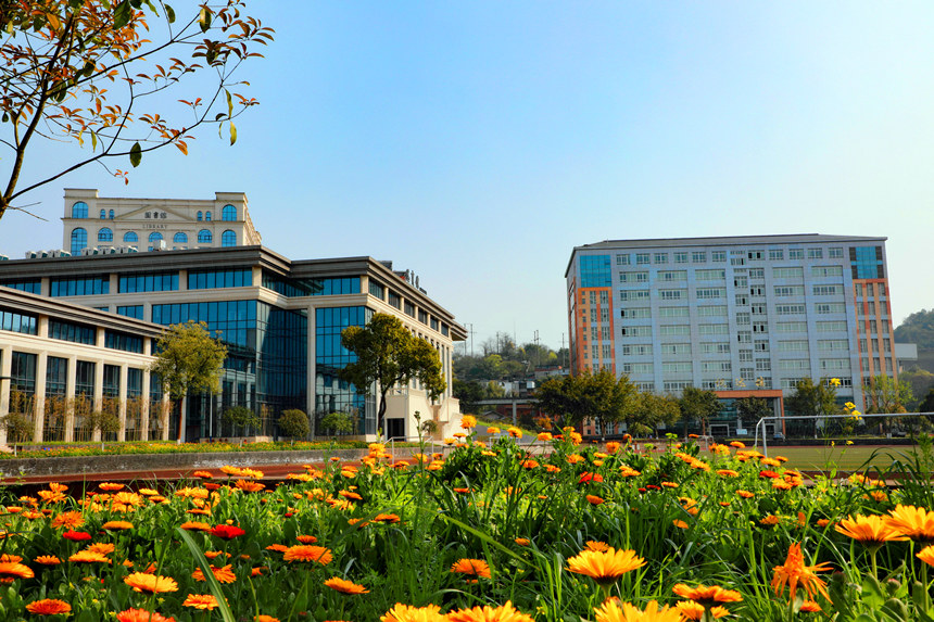 春暖花开 天和景明 春暖花开 天和景明