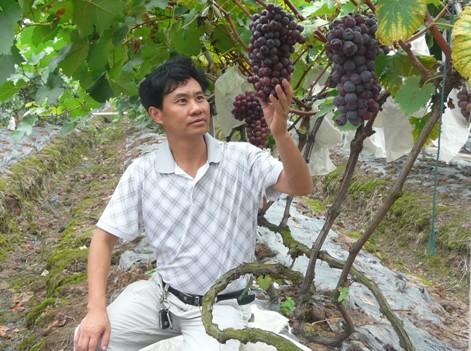 创业领头雁郑祖清